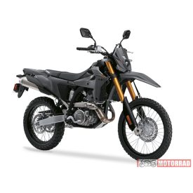 DR-Z4 S M5 (A2)