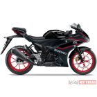 GSX-R125 M6 (A1) ELŐRENDELHETŐ